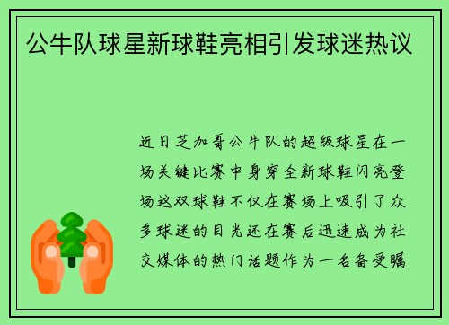 公牛队球星新球鞋亮相引发球迷热议